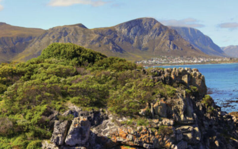 hermanus-1